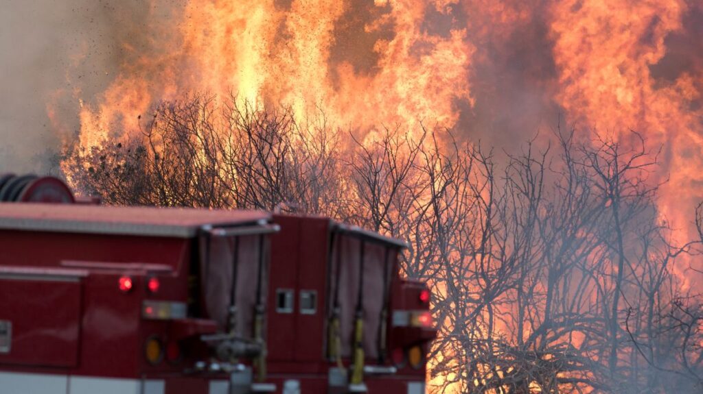 Los Angeles Wildfires